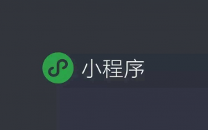 小程序搜索優(yōu)化指南(SEO)來了！